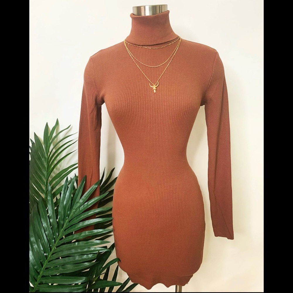 Turtleneck Dress